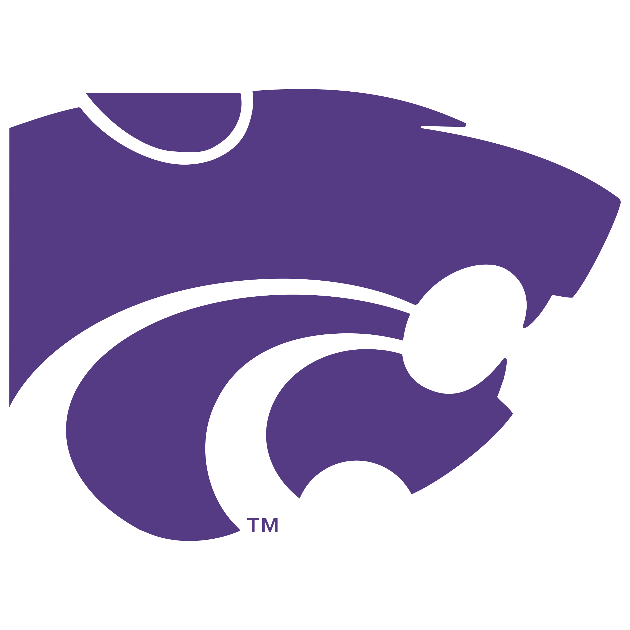 Kansas State Wildcats logo