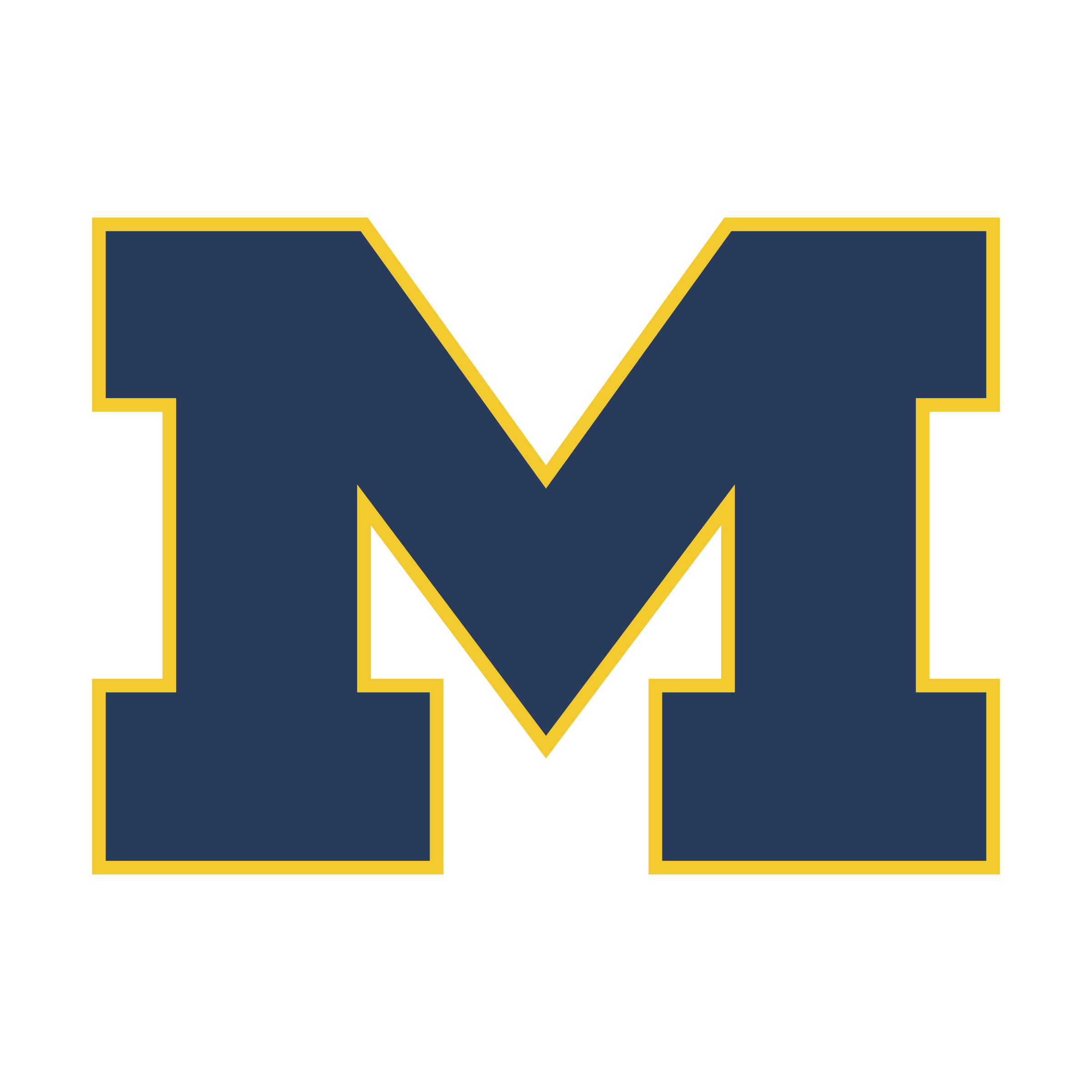 Michigan Wolverines logo