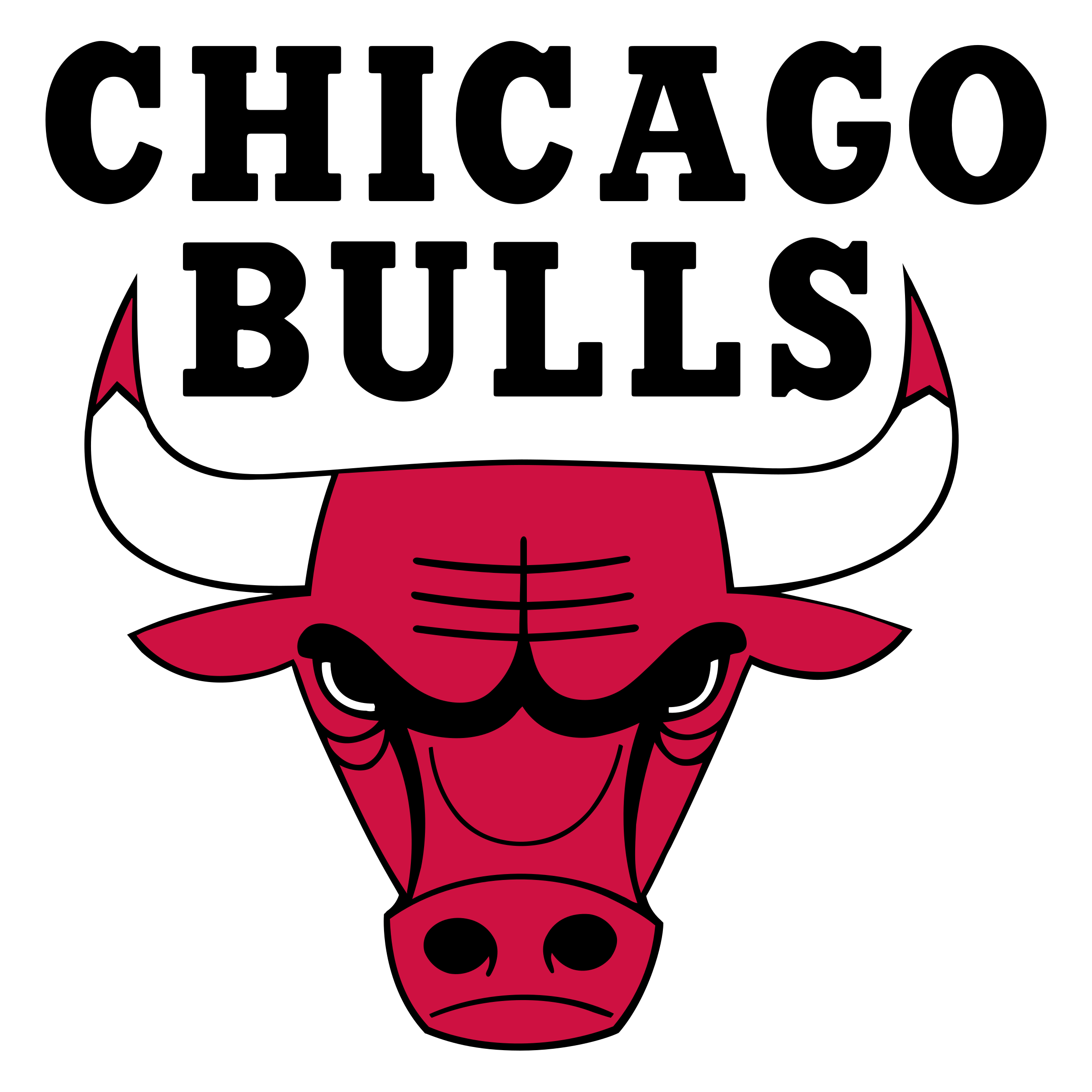 Chicago Bulls logo