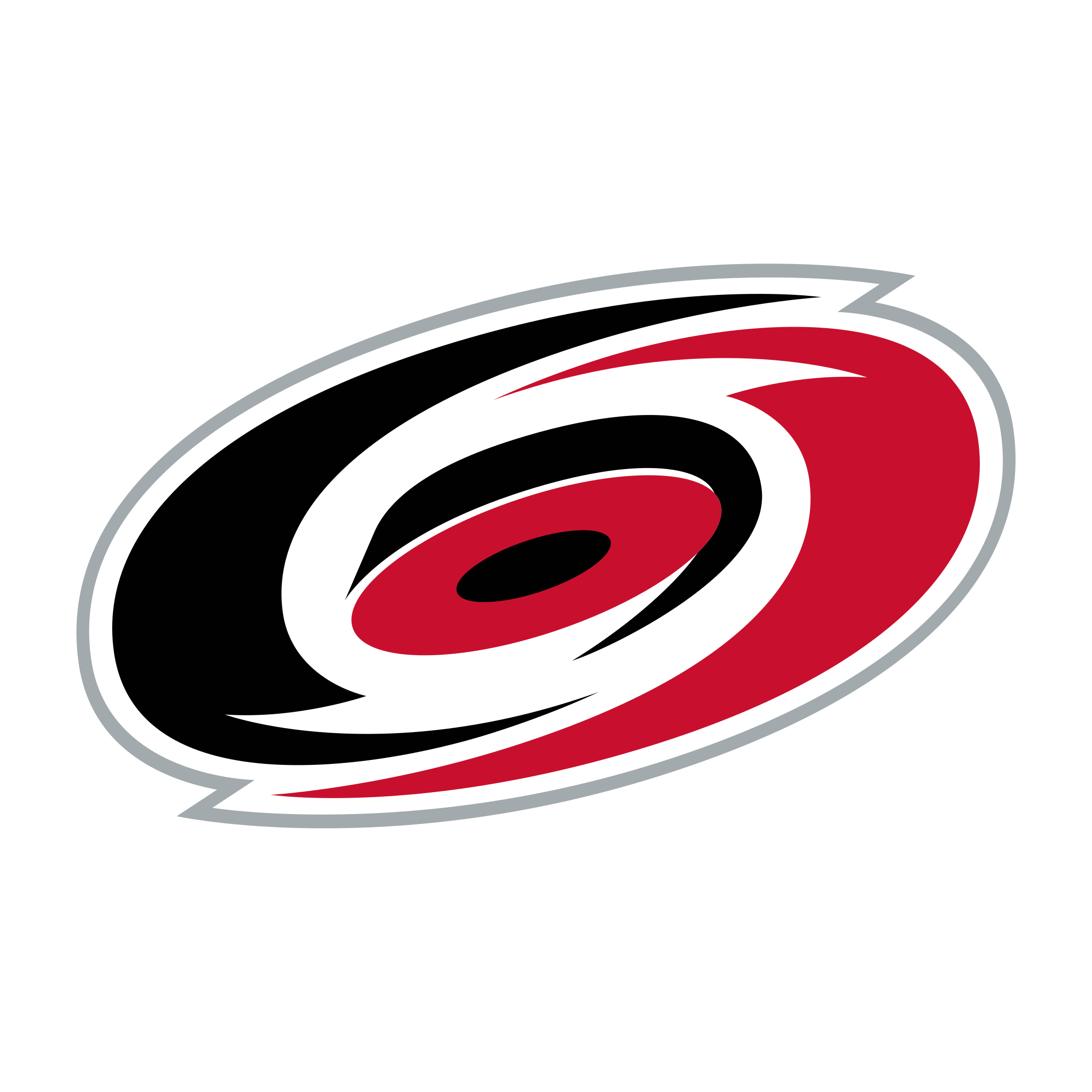 Carolina Hurricanes logo